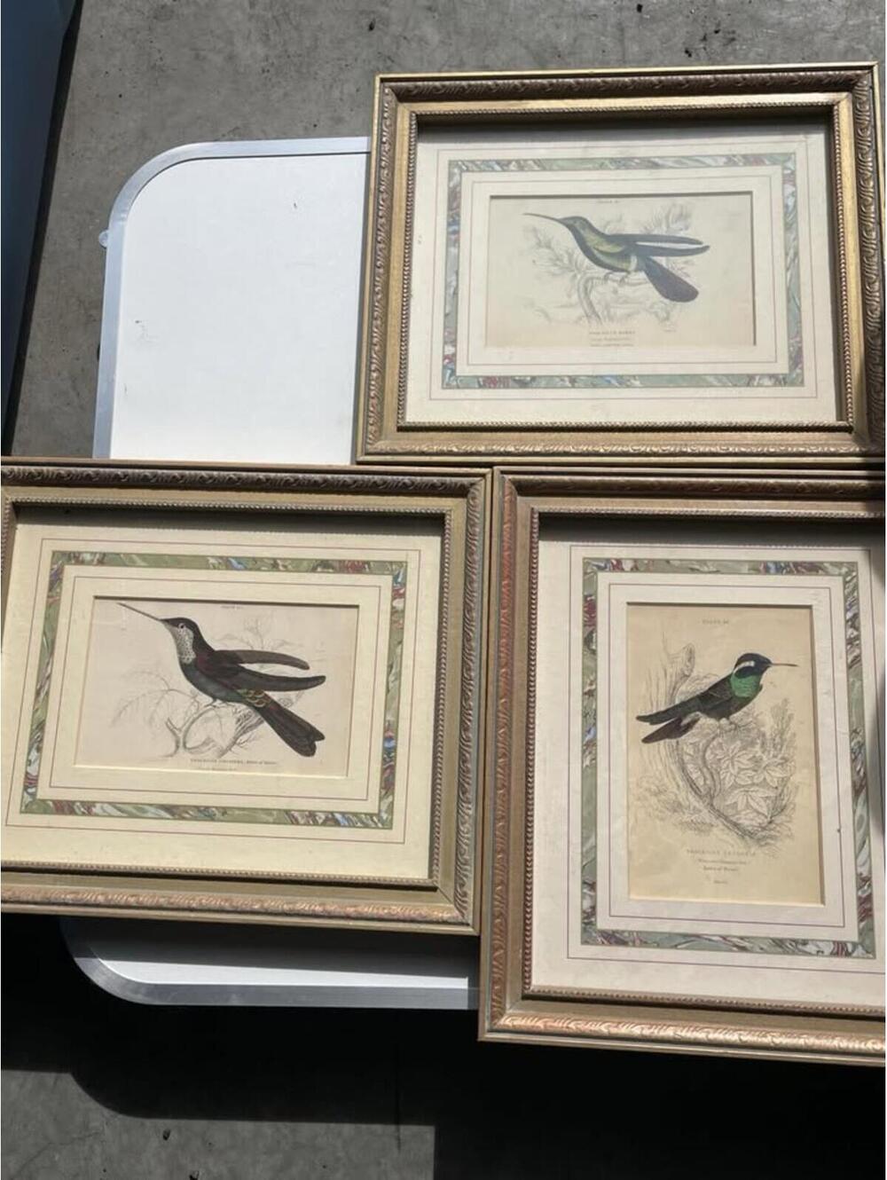 3 Pictures Of Vintage Frames Humming Bird Photos